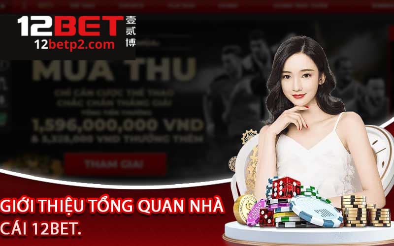 Gioi-thieu-12BET-3